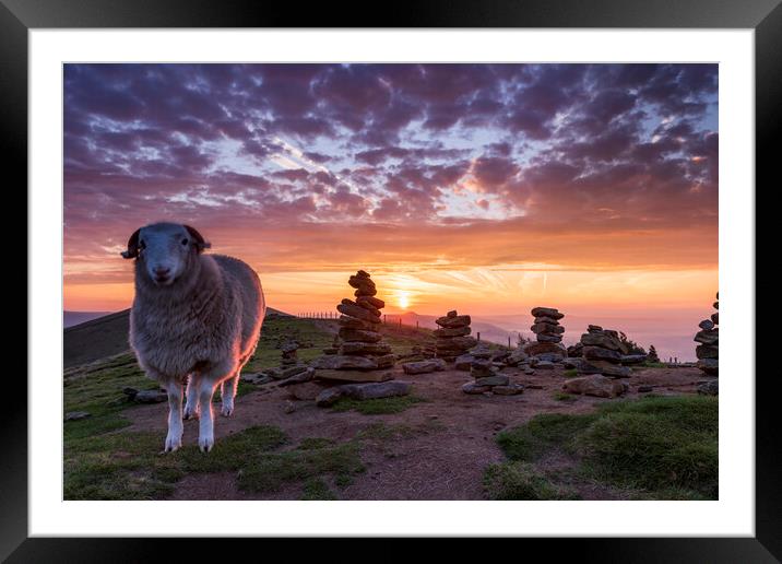 Sheep and Stones Framed Mounted Print by John Finney
