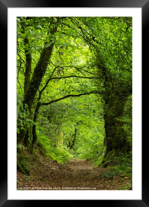 Footpath leading through the woods Framed Mounted Print by Chris Warren