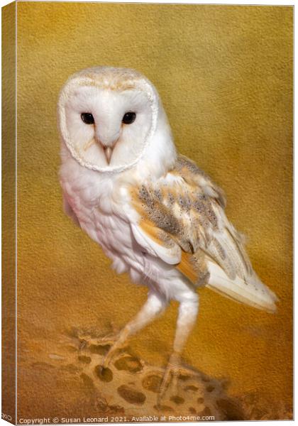 Barn Owl Canvas Print by Susan Leonard
