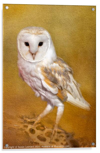 Barn Owl Acrylic by Susan Leonard
