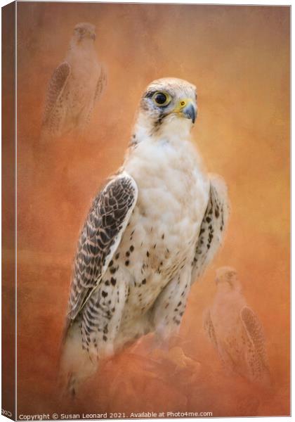 Bird of Prey Canvas Print by Susan Leonard