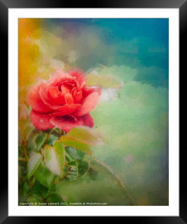 Rose  Framed Mounted Print by Susan Leonard