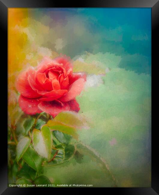 Rose  Framed Print by Susan Leonard