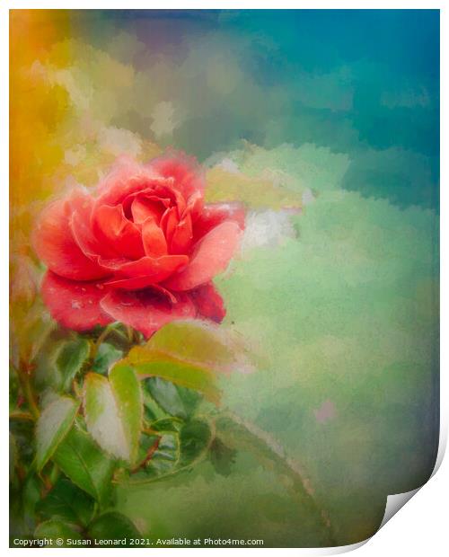 Rose  Print by Susan Leonard