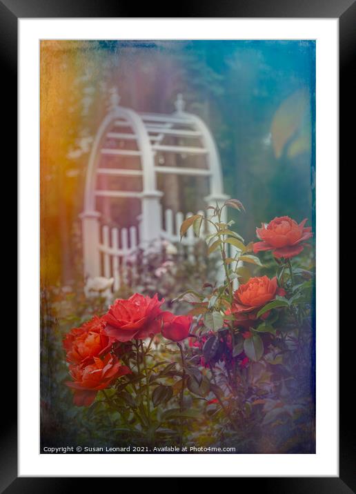 Garden scene with roses Framed Mounted Print by Susan Leonard