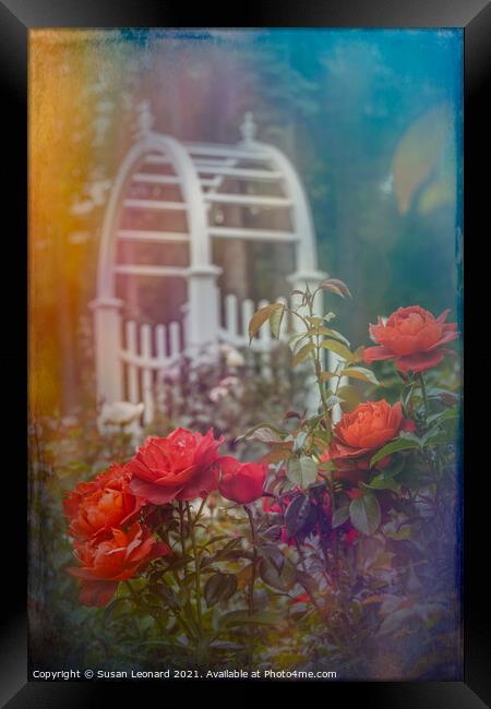 Garden scene with roses Framed Print by Susan Leonard