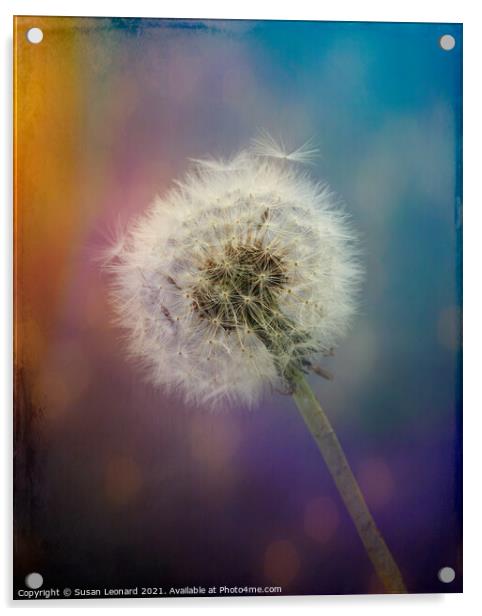 Dandelion clock with textured background. Acrylic by Susan Leonard