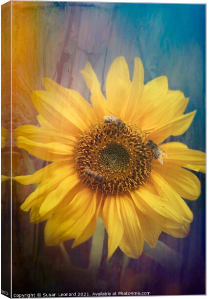 Sunflower and honey bees Canvas Print by Susan Leonard