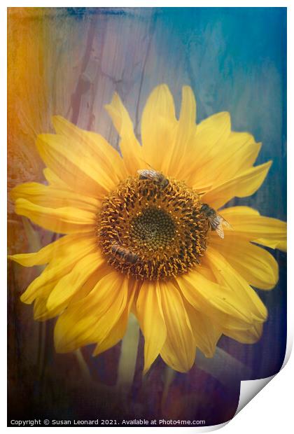Sunflower and honey bees Print by Susan Leonard