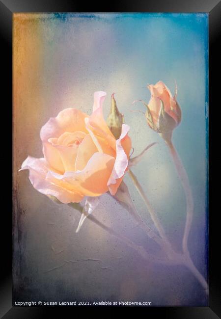 Yellow Roses Framed Print by Susan Leonard