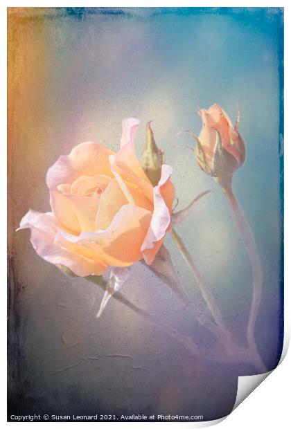Yellow Roses Print by Susan Leonard