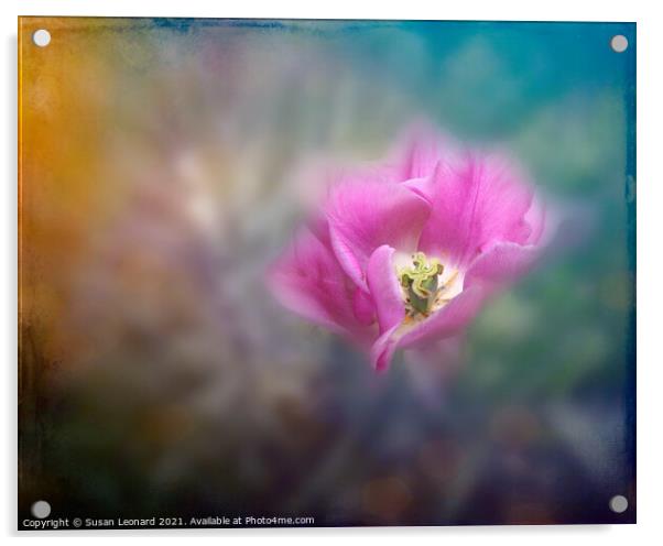 Tulip on dreamy background Acrylic by Susan Leonard