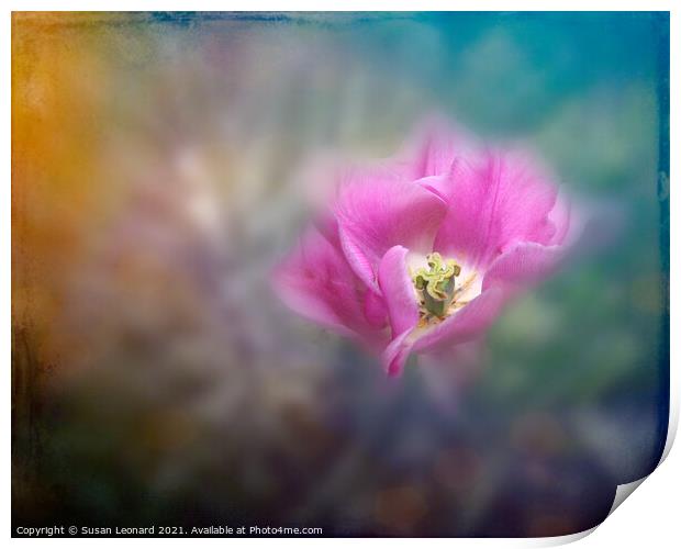 Tulip on dreamy background Print by Susan Leonard
