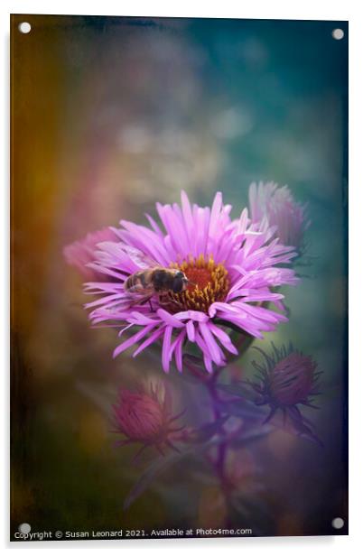Bee on Daisy Acrylic by Susan Leonard