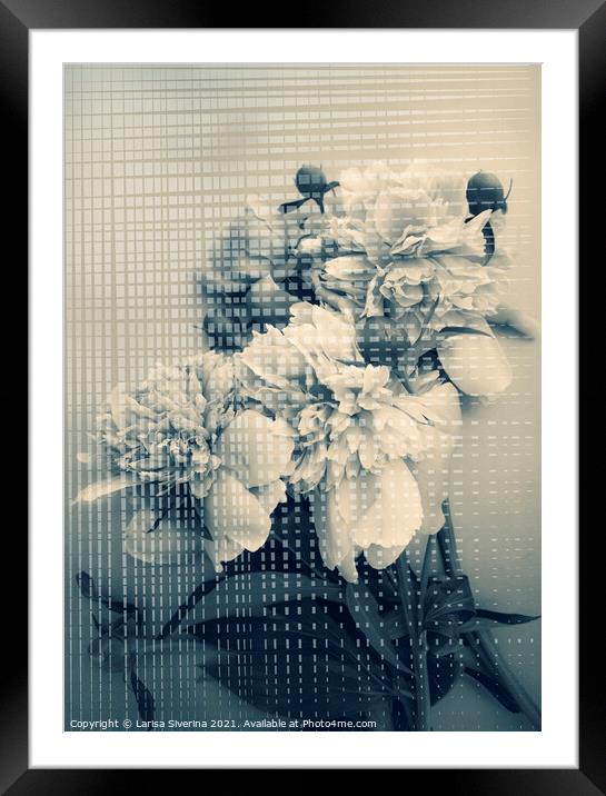 Blue bouquet Framed Mounted Print by Larisa Siverina