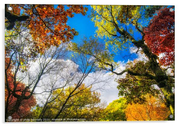 Autumn Acrylic by philip kennedy