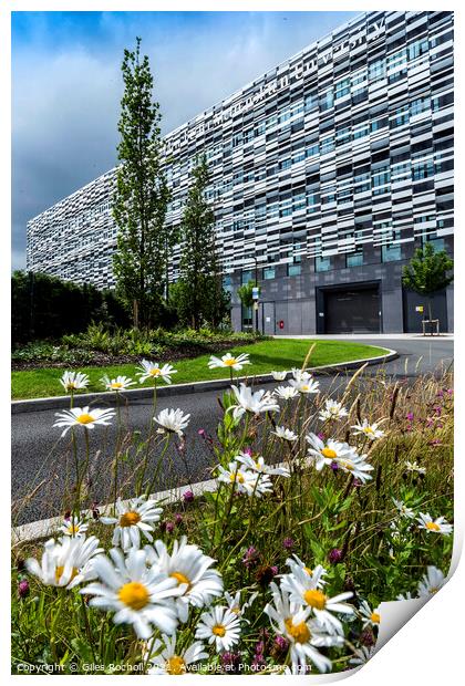 Daisy's and abstract building Print by Giles Rocholl