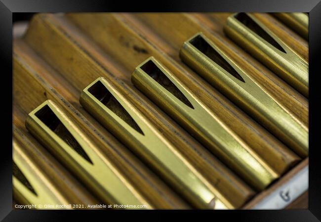 Metal organ pipe reeds Framed Print by Giles Rocholl