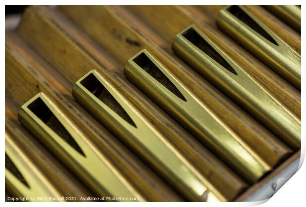 Metal organ pipe reeds Print by Giles Rocholl