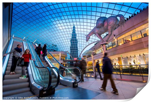 Trinity Shopping Centre Leeds Print by Giles Rocholl