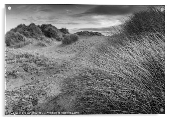 Winter sand dunes  Acrylic by Phil Longfoot