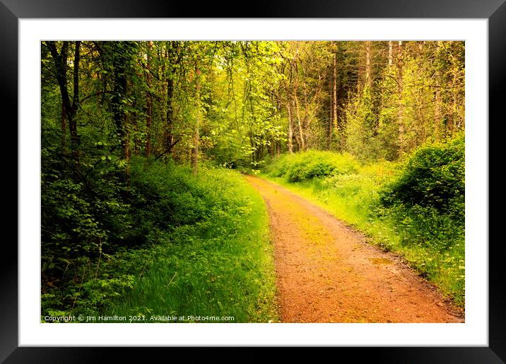 Forest walk Framed Mounted Print by jim Hamilton