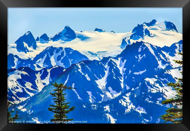 Mount Olympus Snow Mountains Hurricane Ridge Olympic Park Washin Framed Print by William Perry