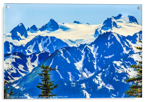 Mount Olympus Snow Mountains Hurricane Ridge Olympic Park Washin Acrylic by William Perry