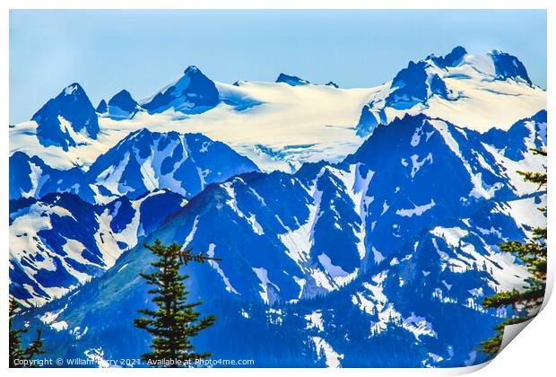 Mount Olympus Snow Mountains Hurricane Ridge Olympic Park Washin Print by William Perry