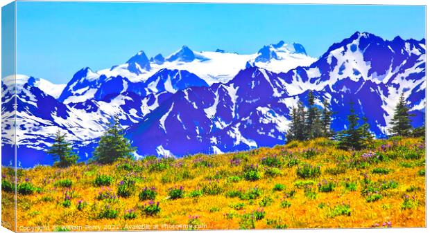 Mount Olympus Snow Mountains Purple Lupine Evergreen Hurricane R Canvas Print by William Perry