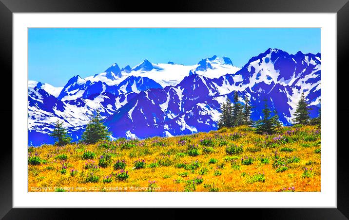 Mount Olympus Snow Mountains Purple Lupine Evergreen Hurricane R Framed Mounted Print by William Perry