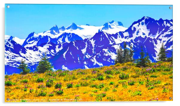 Mount Olympus Snow Mountains Purple Lupine Evergreen Hurricane R Acrylic by William Perry