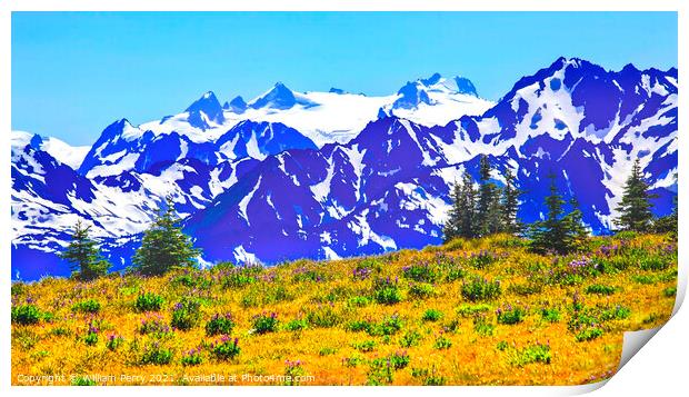 Mount Olympus Snow Mountains Purple Lupine Evergreen Hurricane R Print by William Perry
