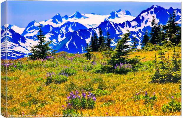 Snow Mountains Hurricane Ridge Olympic National Park Washington Canvas Print by William Perry