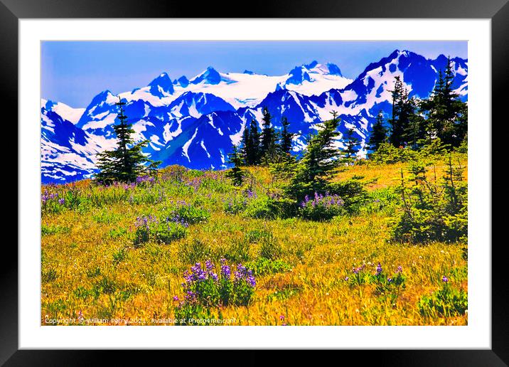 Snow Mountains Hurricane Ridge Olympic National Park Washington Framed Mounted Print by William Perry