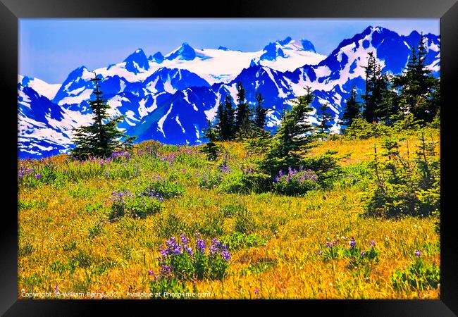Snow Mountains Hurricane Ridge Olympic National Park Washington Framed Print by William Perry
