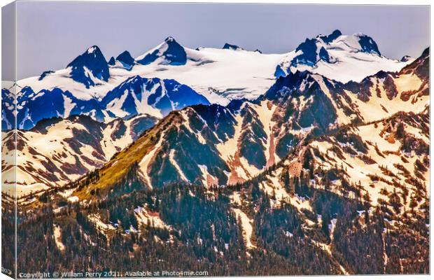 Mount Olympus Snow Mountains Hurricane Ridge Olympic National Pa Canvas Print by William Perry