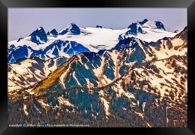 Mount Olympus Snow Mountains Hurricane Ridge Olympic National Pa Framed Print by William Perry