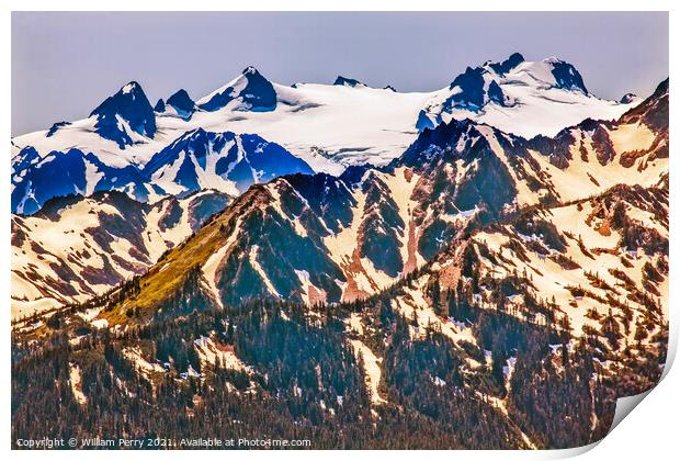 Mount Olympus Snow Mountains Hurricane Ridge Olympic National Pa Print by William Perry