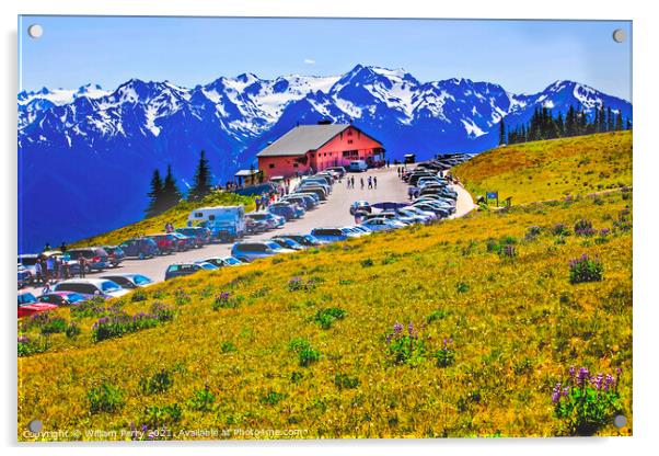 Hurricane Ridge Visitor Center Olympic National Park Washington Acrylic by William Perry