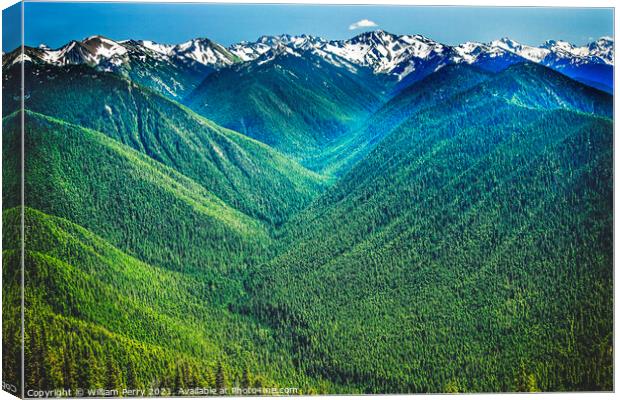 Green Valleys Mountains Hurricane Ridge Olympic National Park Washington Canvas Print by William Perry