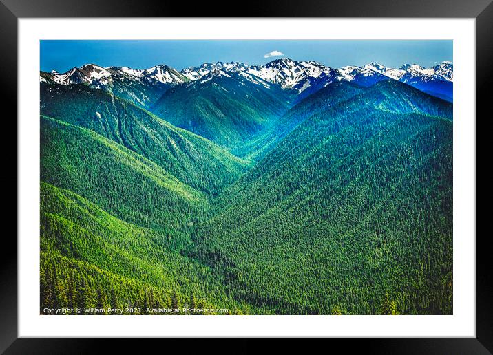 Green Valleys Mountains Hurricane Ridge Olympic National Park Washington Framed Mounted Print by William Perry