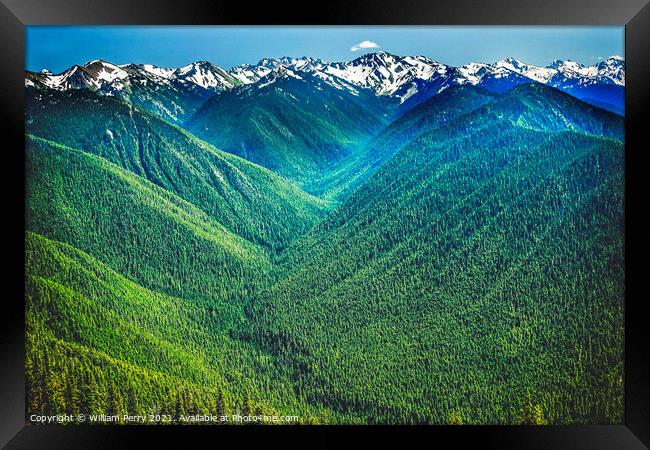 Green Valleys Mountains Hurricane Ridge Olympic National Park Washington Framed Print by William Perry