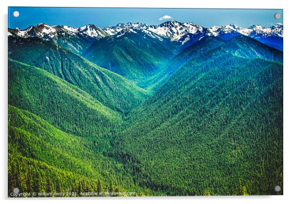 Green Valleys Mountains Hurricane Ridge Olympic National Park Washington Acrylic by William Perry