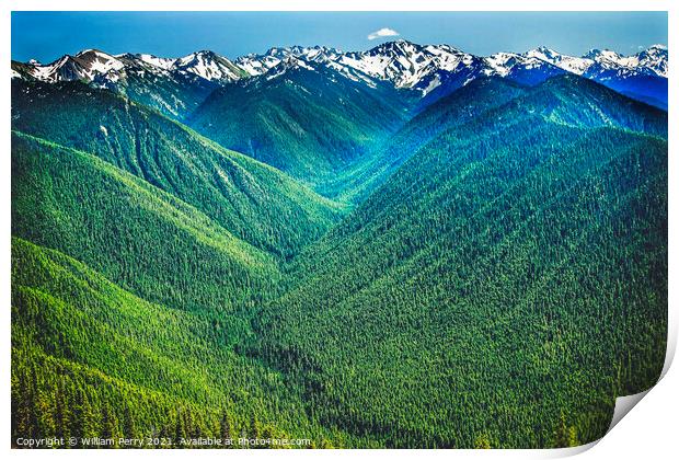 Green Valleys Mountains Hurricane Ridge Olympic National Park Washington Print by William Perry