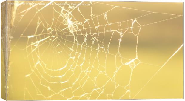 Autumn Spiderwebs Canvas Print by Matthew Balls