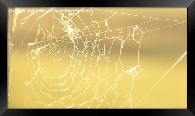 Autumn Spiderwebs Framed Print by Matthew Balls