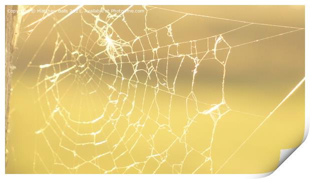 Autumn Spiderwebs Print by Matthew Balls