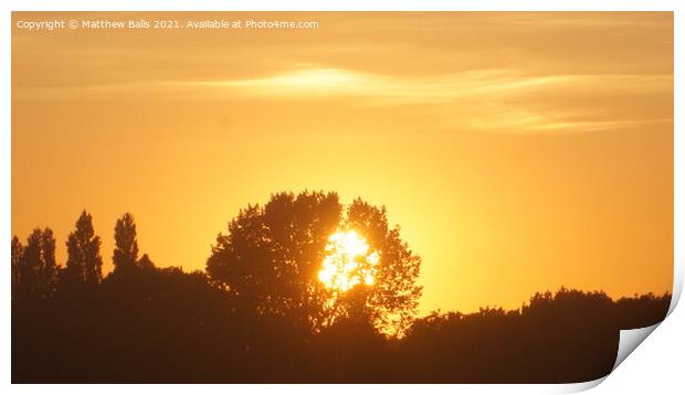 Sunset in  A Tree Print by Matthew Balls