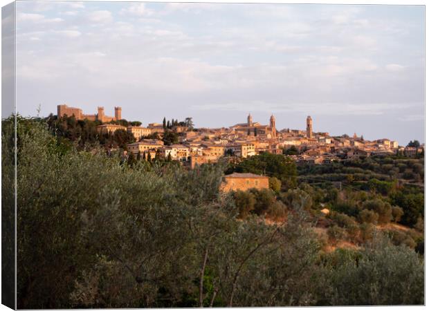 Montalcino Cityscape on a Summer Morning Canvas Print by Dietmar Rauscher